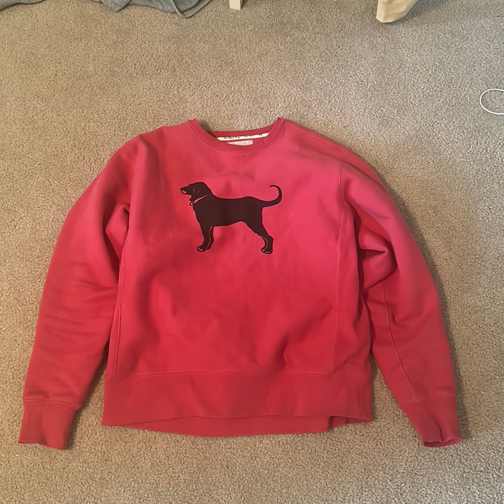 Black dog sweater